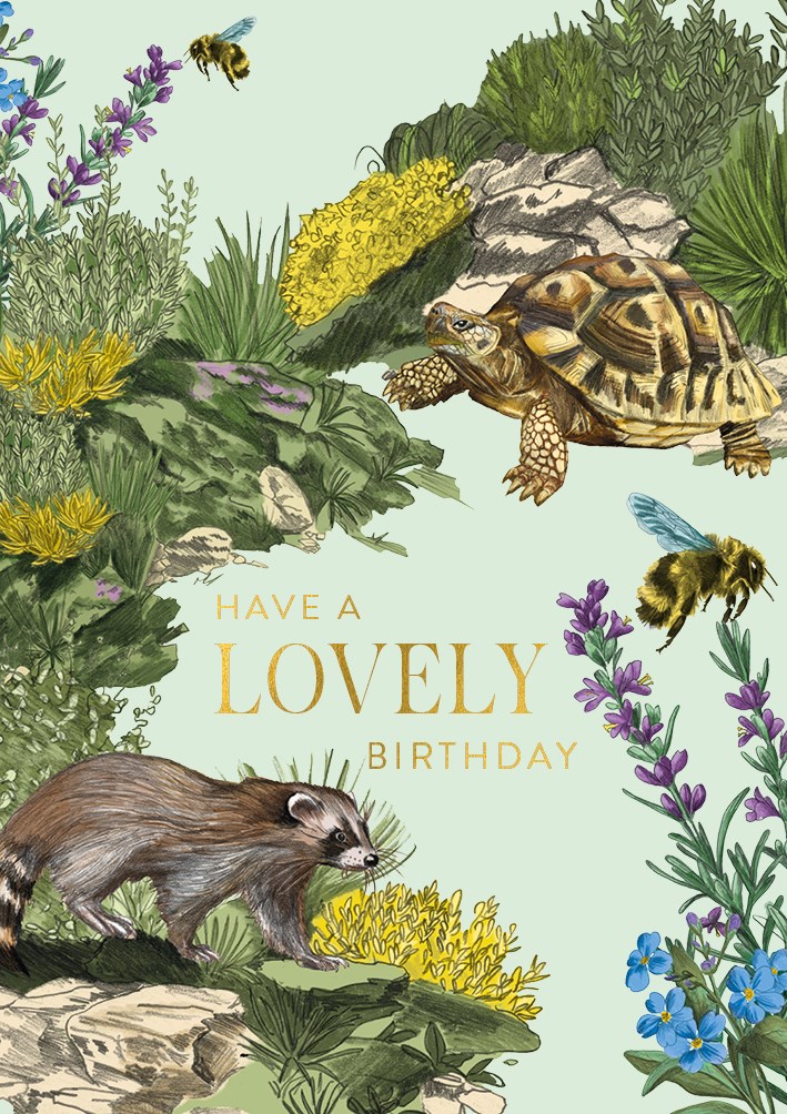 Habitania Maquis Shrubland France Greeting Card