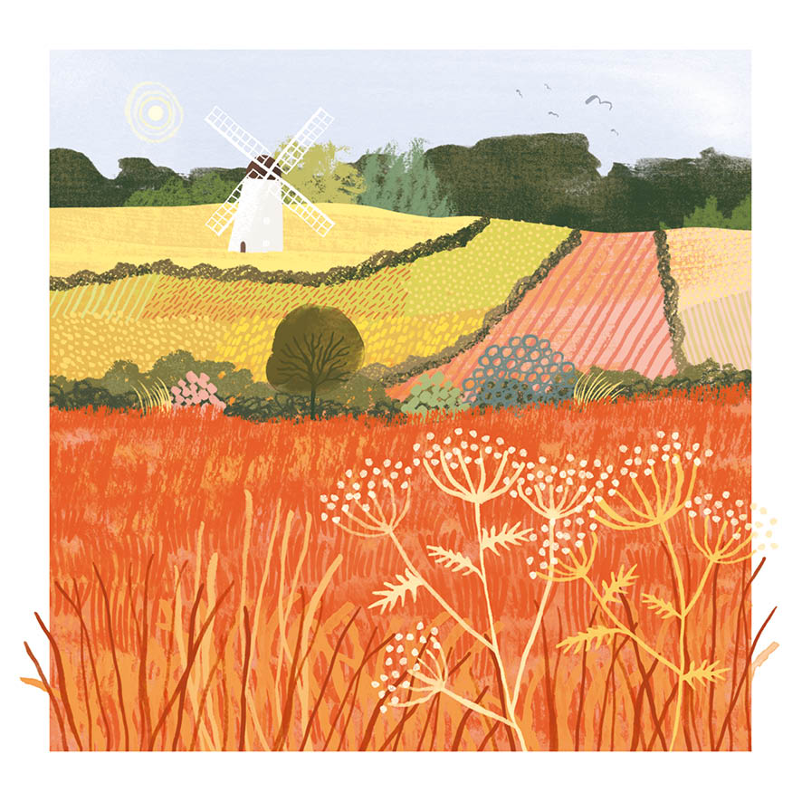 Windmill & Fields Greeting Card