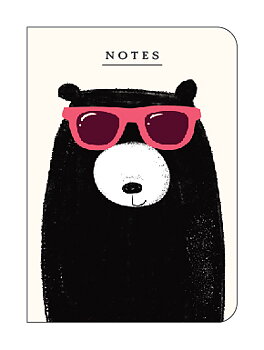 Bear A6 Duo Notebook