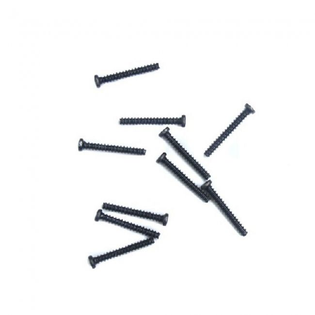 WLToys A949-41 Phillips Skruv 2x16mm (10)