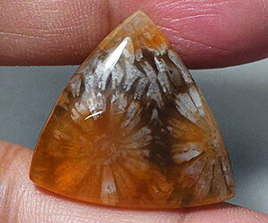 Piedra preciosa de coral natural grande completamente única de 15,98 ct