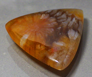 Piedra preciosa de coral natural grande completamente única de 15,98 ct - 3