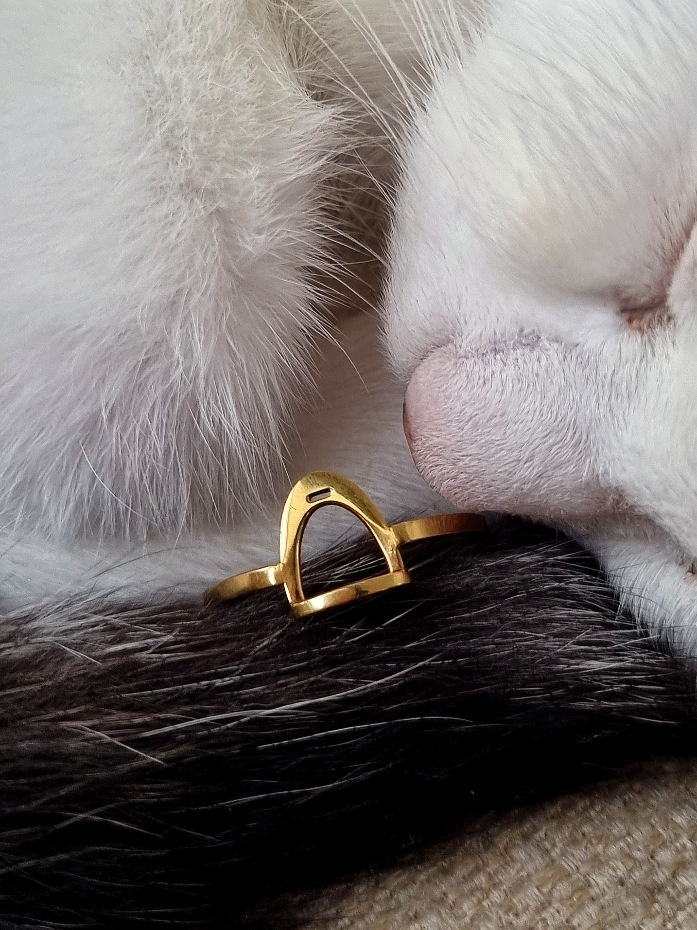 Stirrup Ring Gold - 7