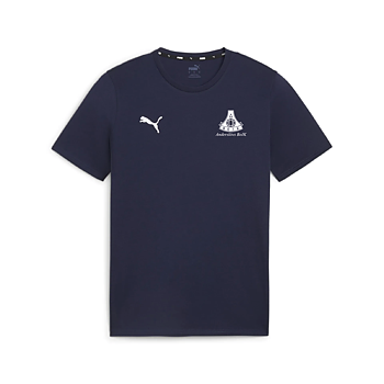 Puma Teamgoal Casuals Tee Jr (Anderslövs BoIK)