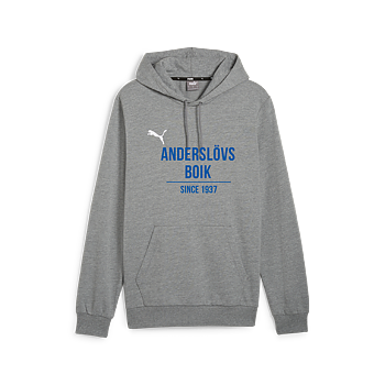 Puma Teamgoal Casuals Hoody Herr (Anderslövs BoIK)