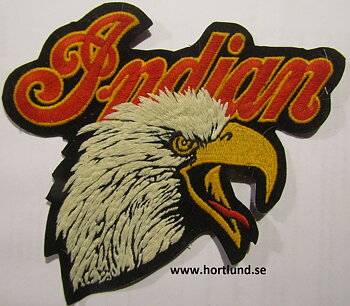 Indian eagle