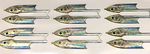 FisHeadz Silversides