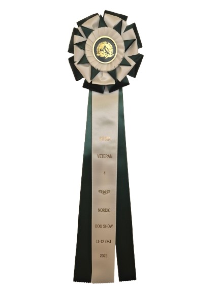 6242 - Rosette mit Blütenblättern, Sternblatt, 71cm - 3