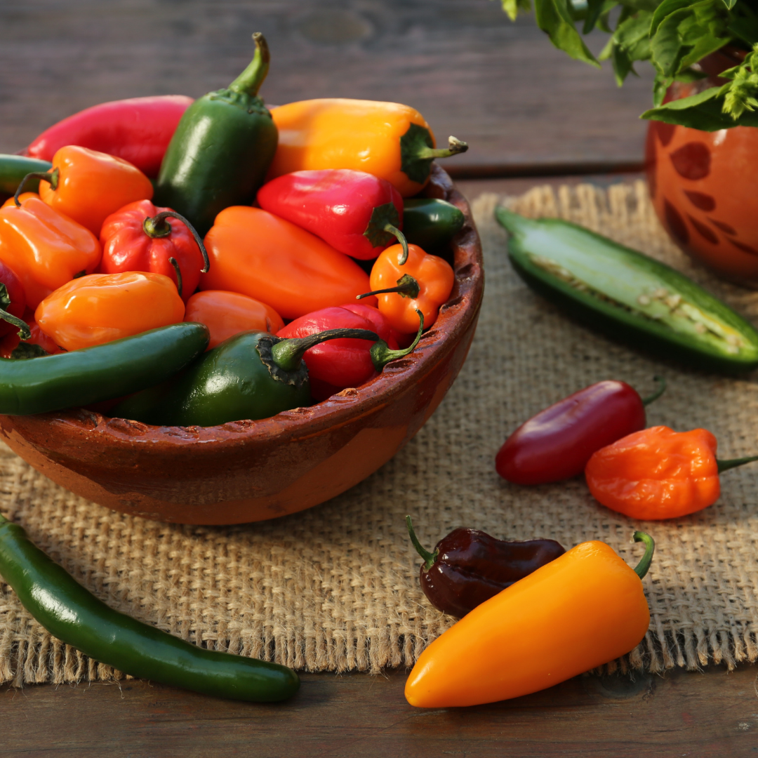 Så odlar du chili från frö – en guide för nybörjare och entusiaster 