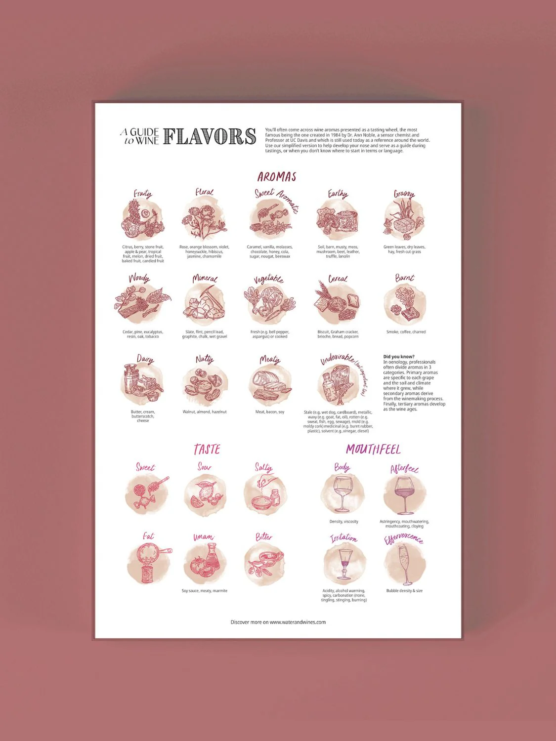 Wine Puzzle - Periodic Table of Wine - 7