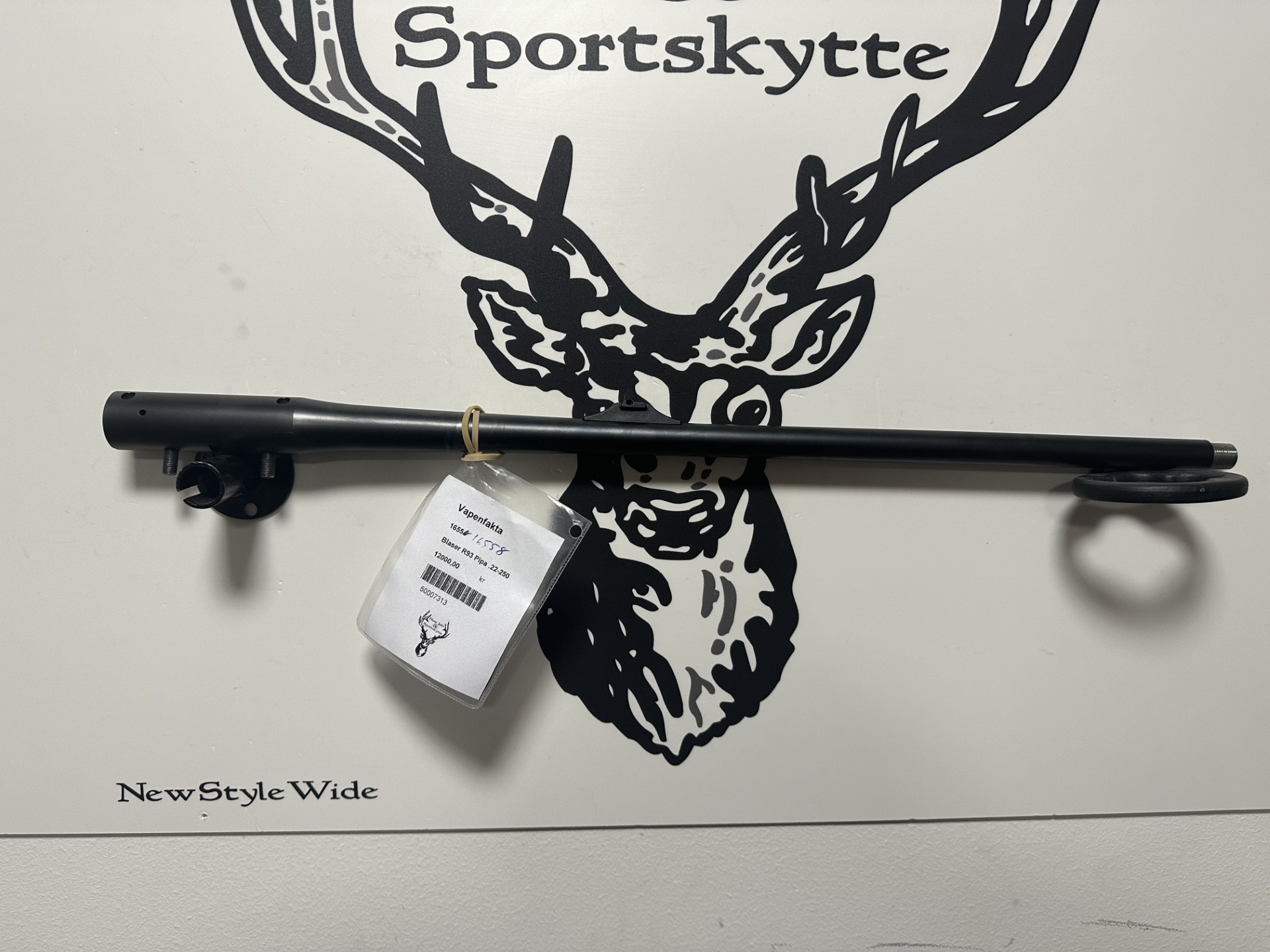 Pipa Blaser R93 .22-250