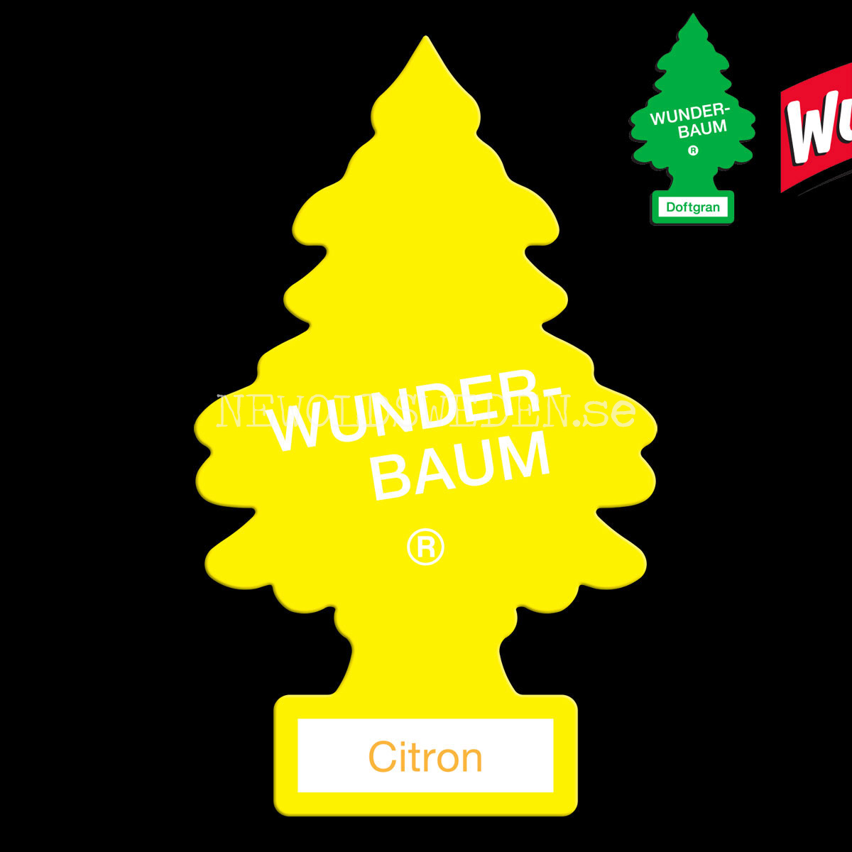 CITRON Doftgran Wunder-Baum - 2