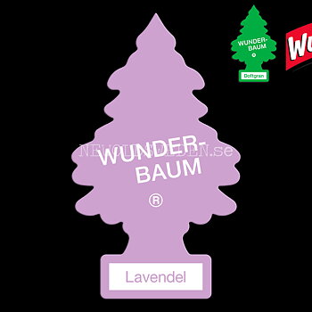 LAVENDEL Doftgran Wunder-Baum