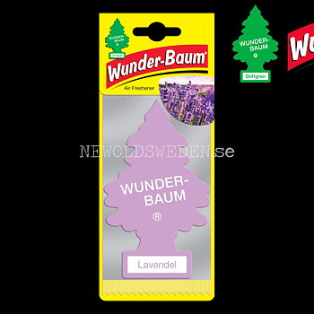 LAVENDEL Doftgran Wunder-Baum