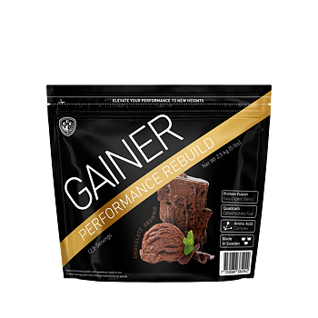 Performance Gainer 2,5kg  Chocolate Brownie