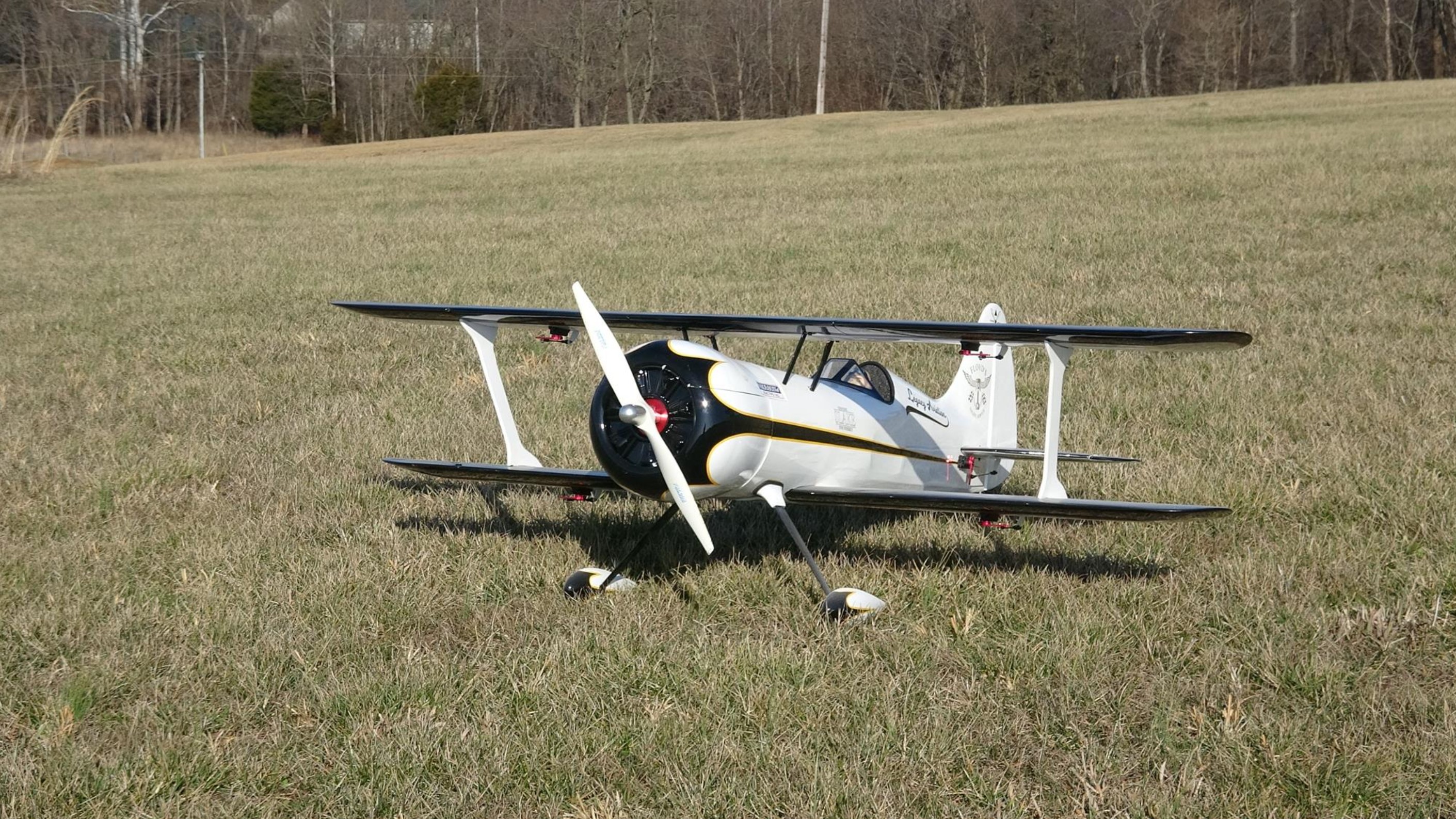 Extreme Flight Muscle Bipe 54 Black/White - 2