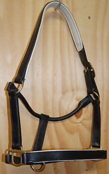 Lädergrimma med padding