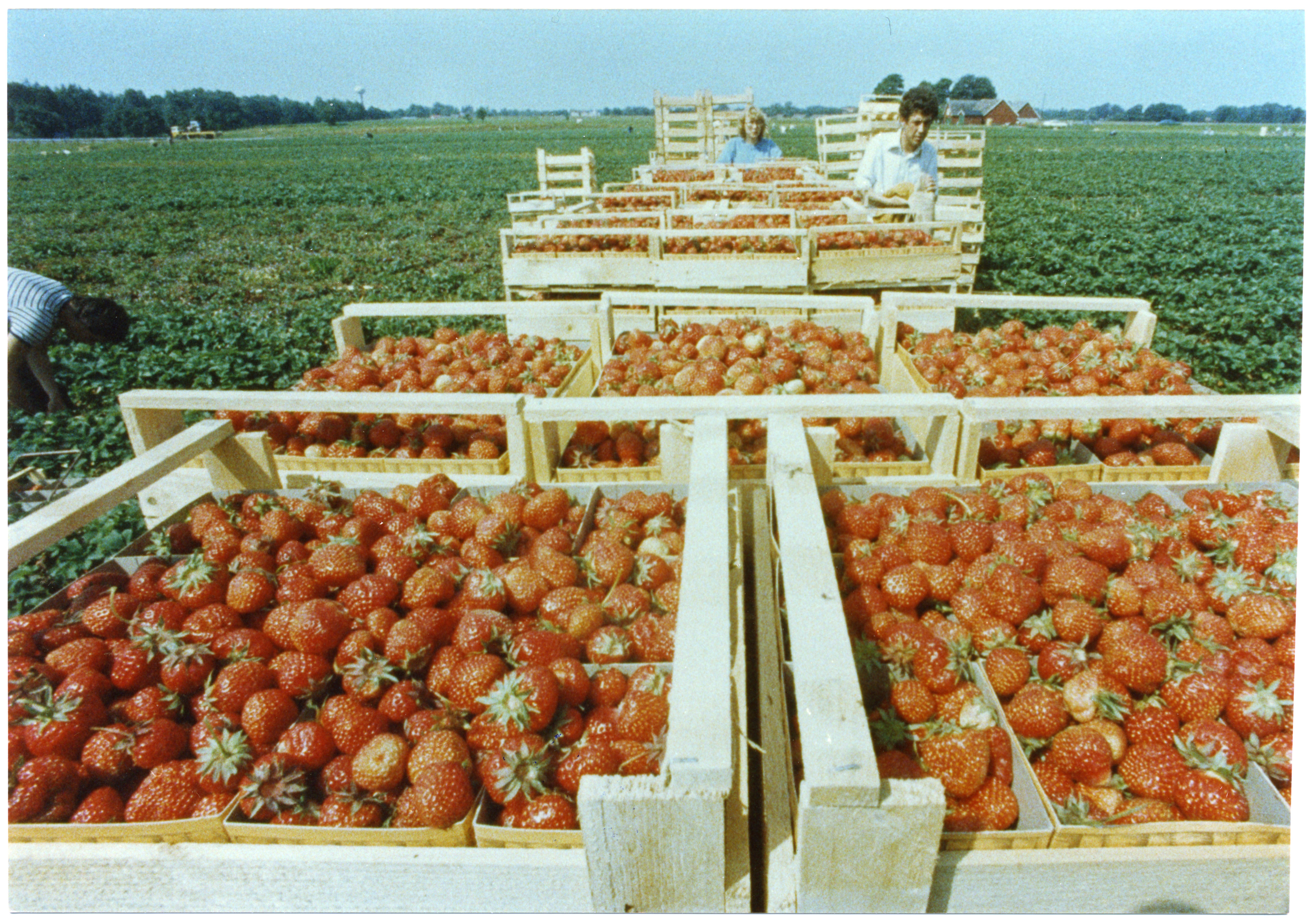 Bilder från förr - 73