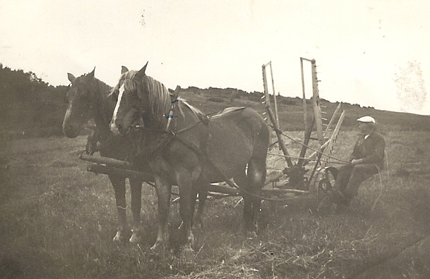 Bilder från förr - 102