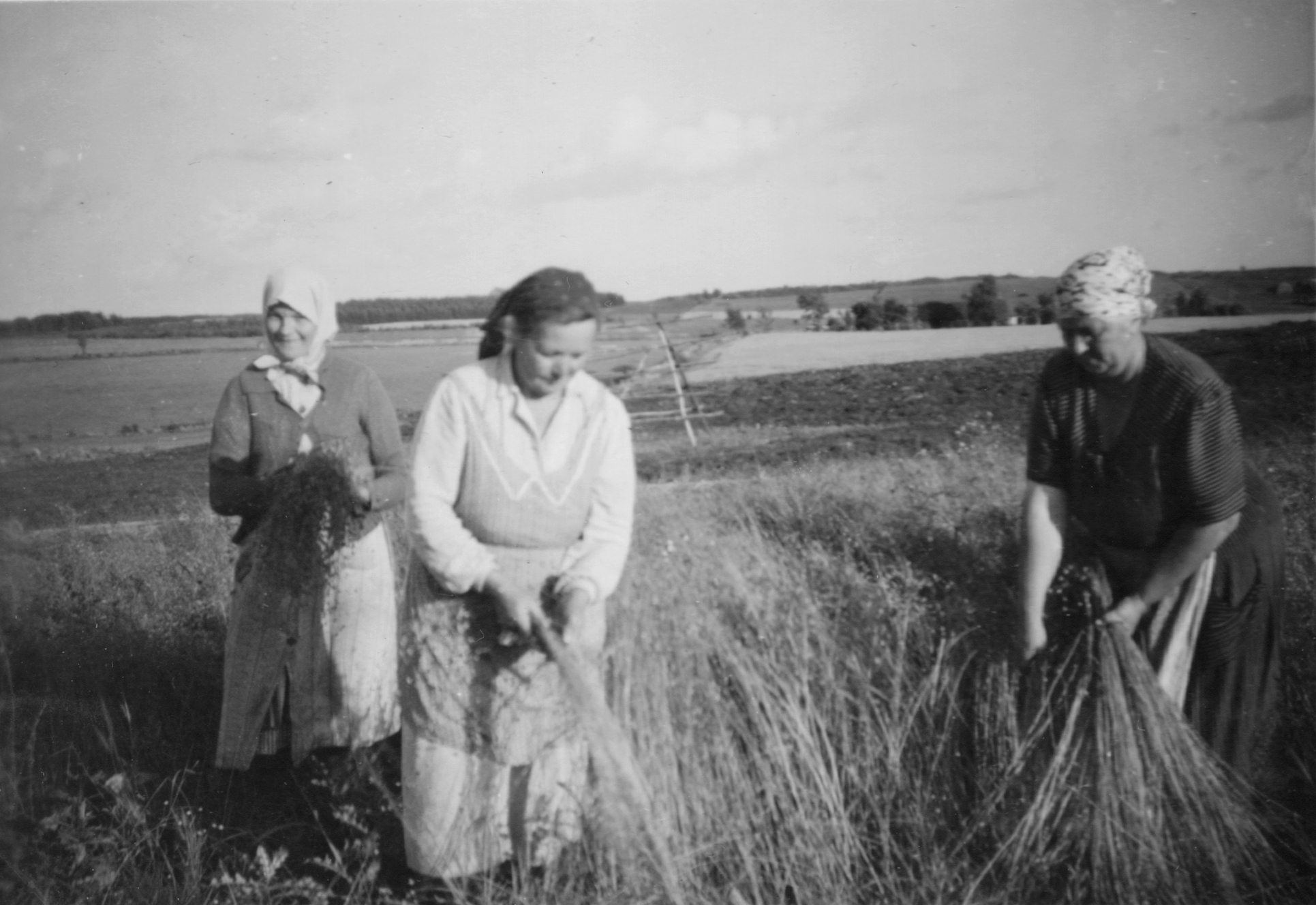 Bilder från förr - 94