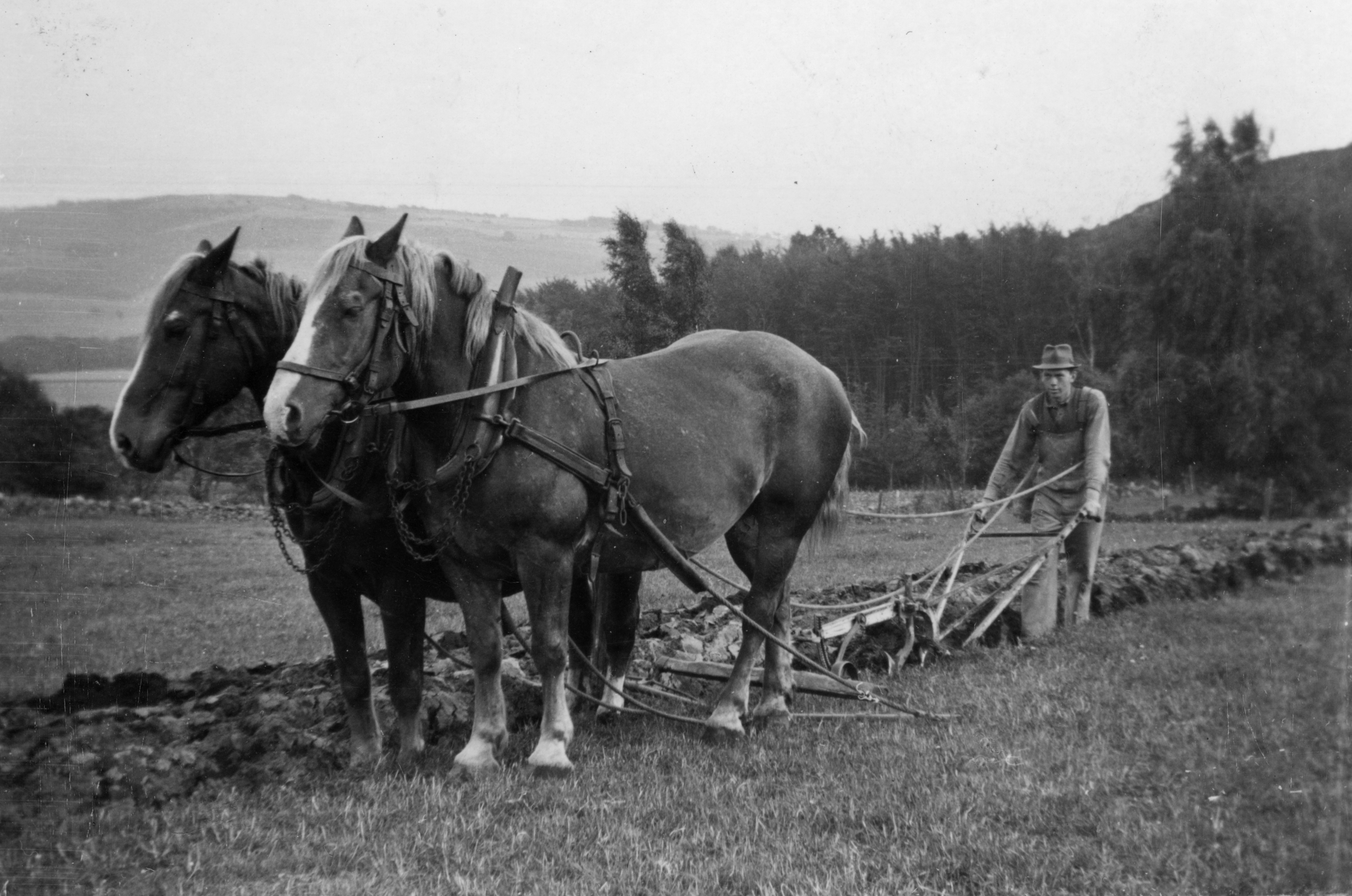 Bilder från förr - 82