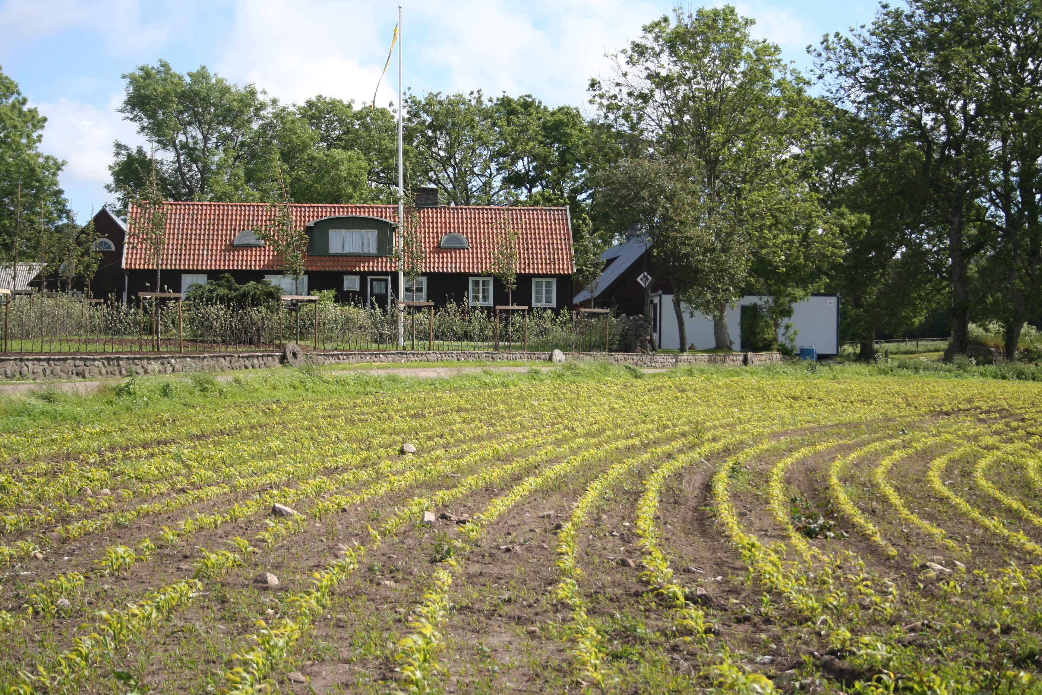 Bilder från förr - 86