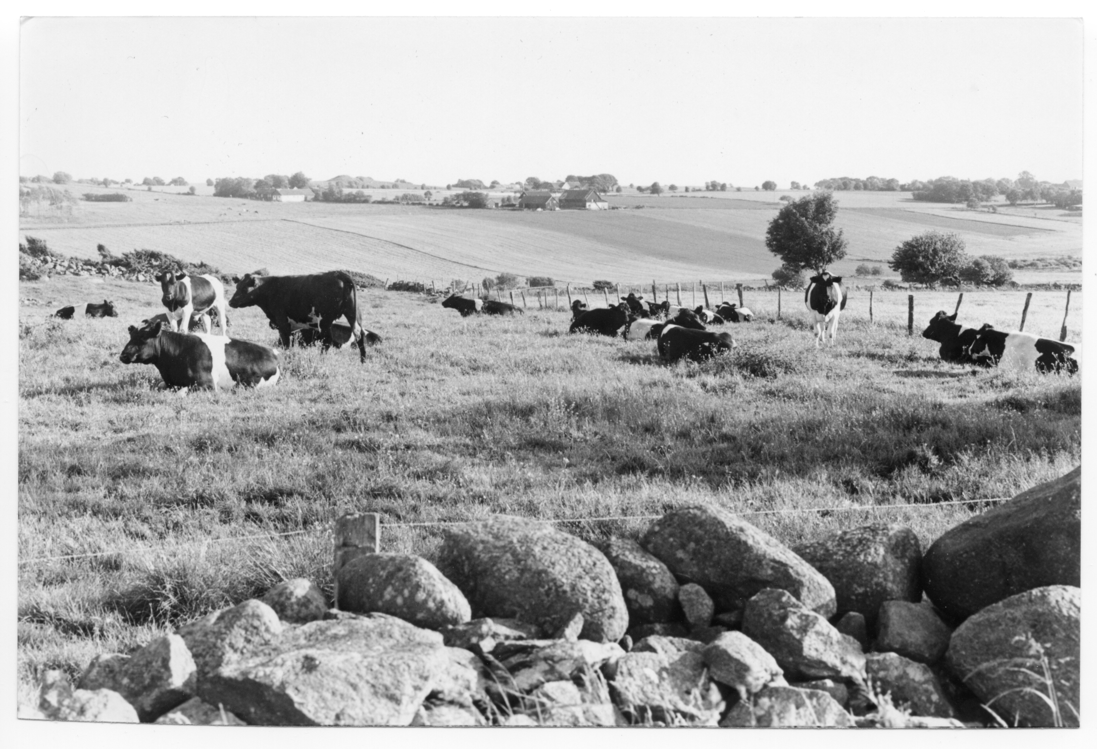 Bilder från förr - 61