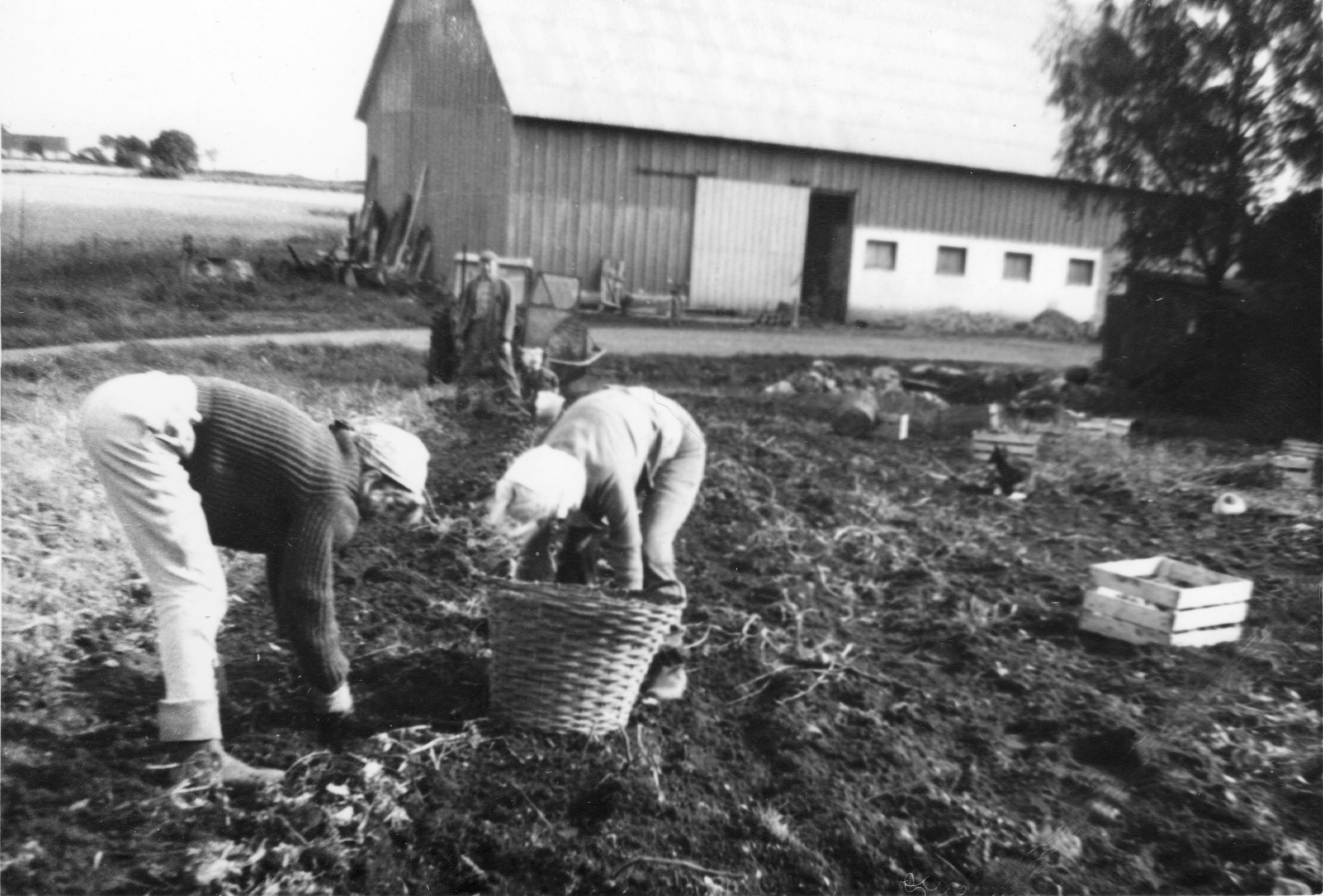 Bilder från förr - 97