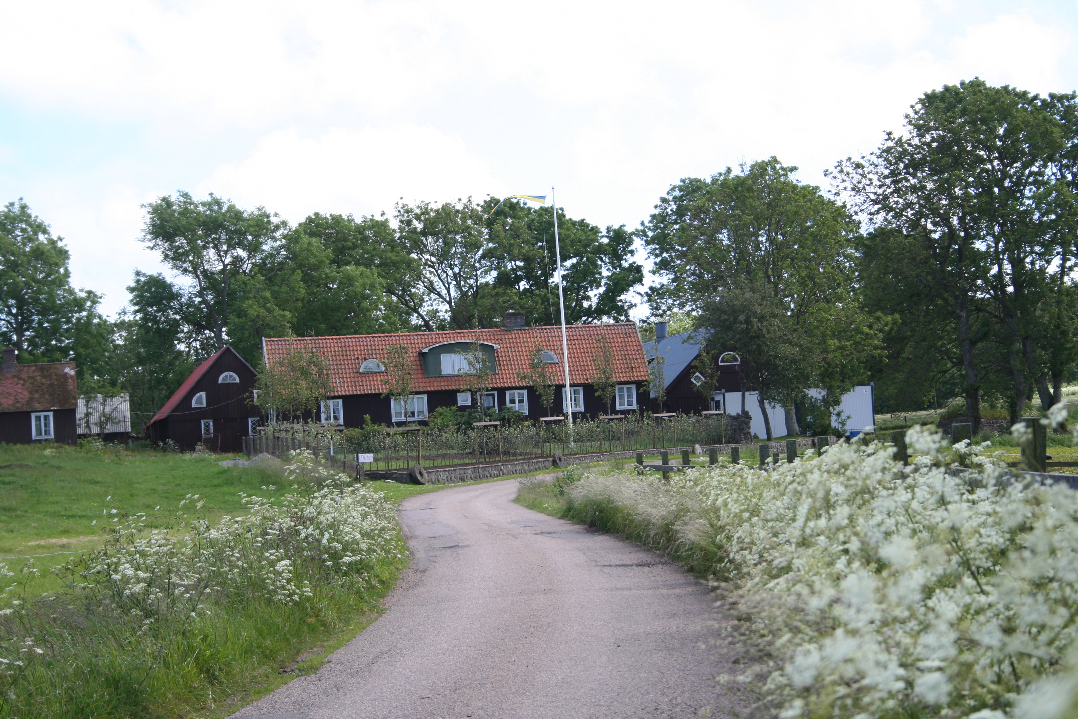 Bilder från förr - 85