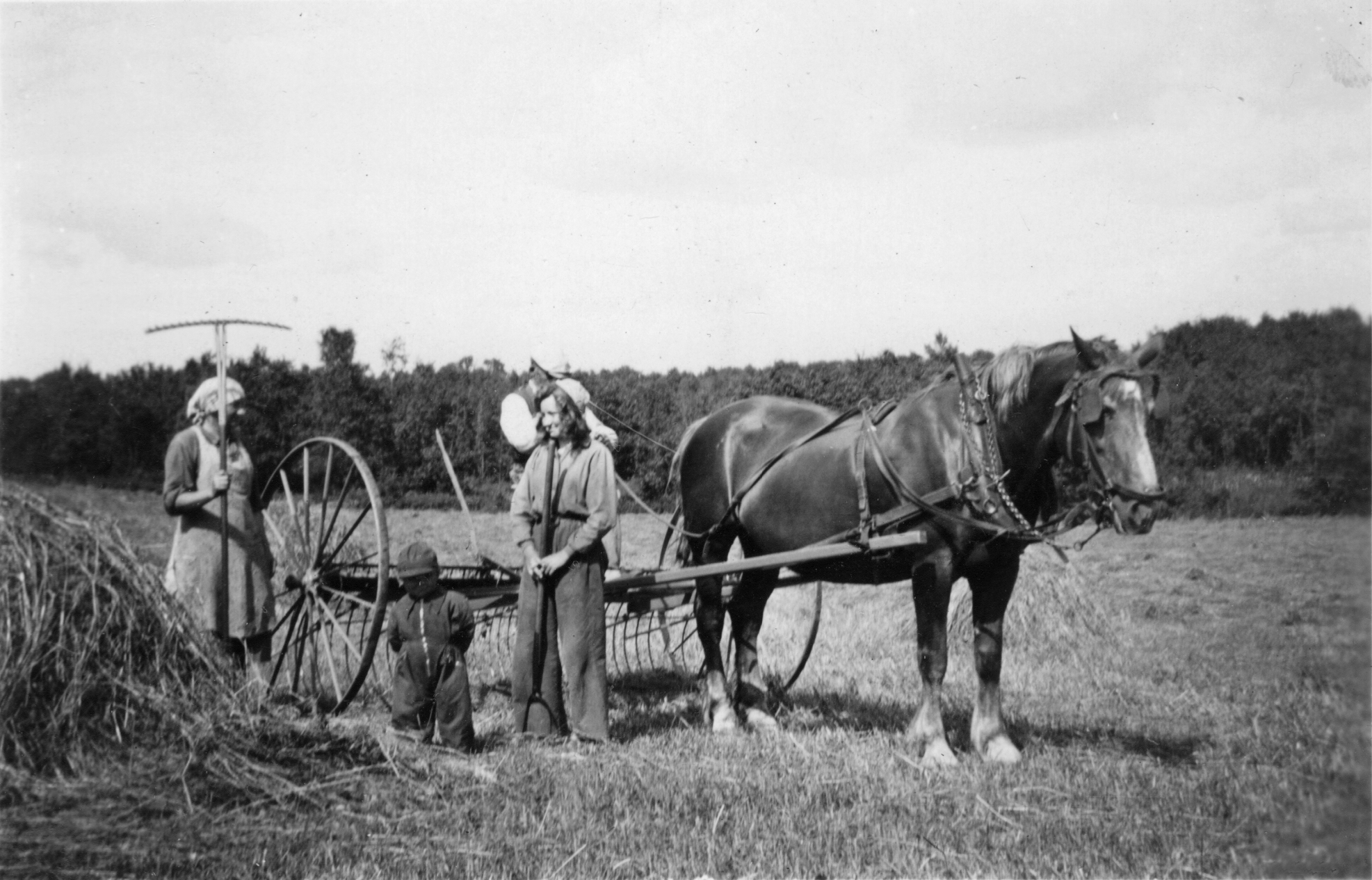 Bilder från förr - 96