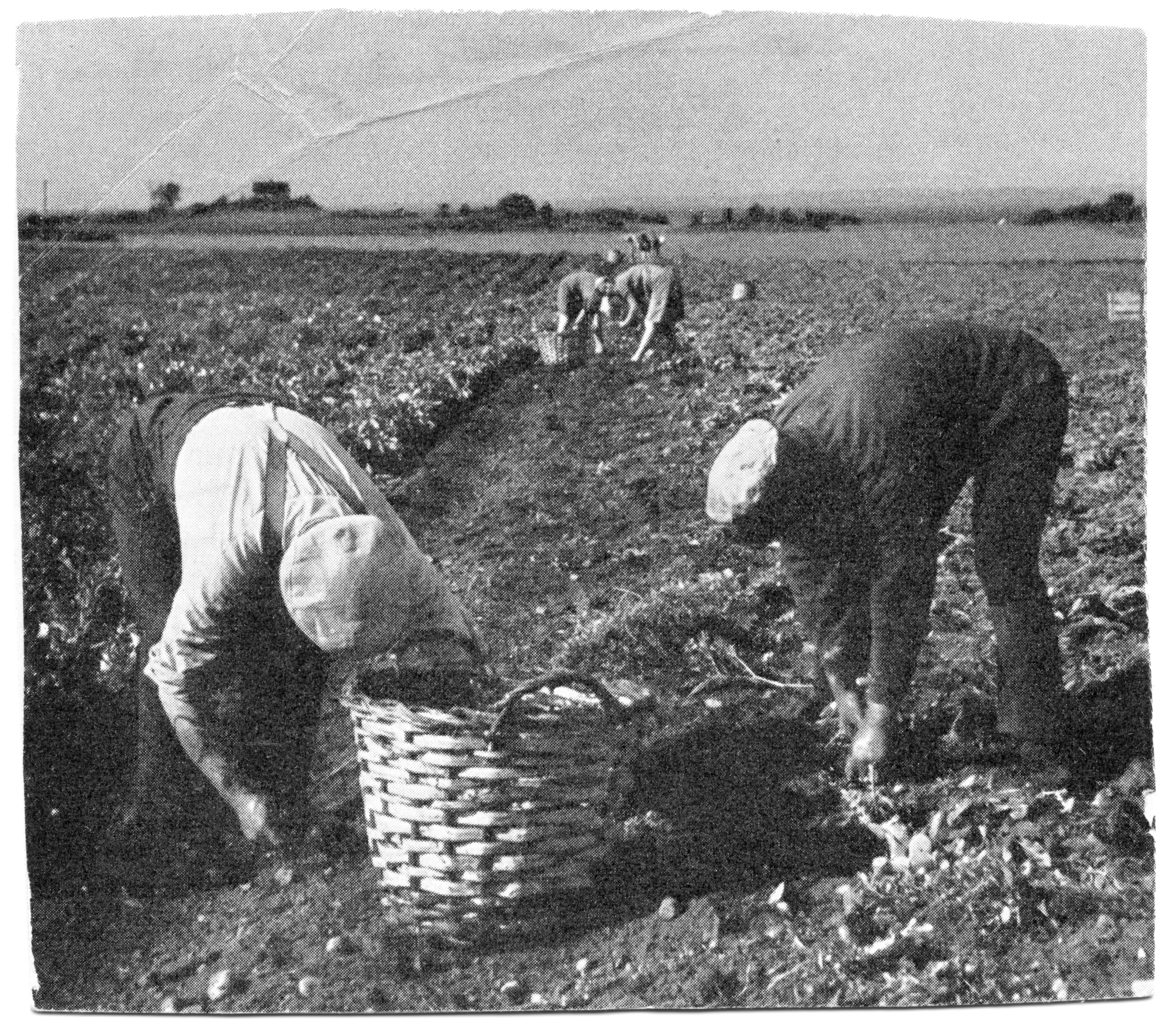 Bilder från förr - 88