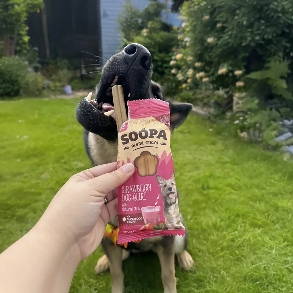 REA vegetariska dental sticks till hunden