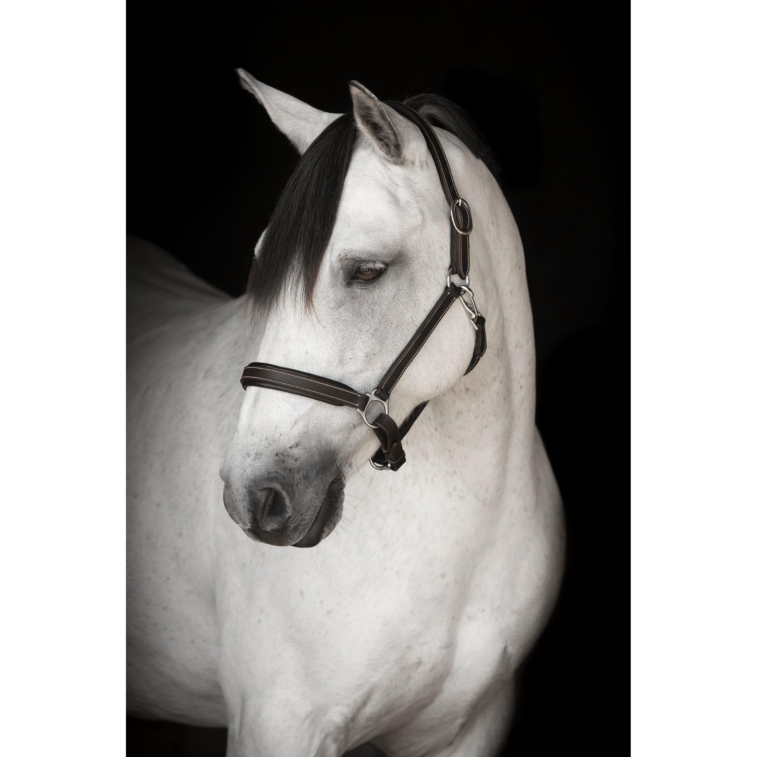 Lippo Basic Lädergrimma - Brun (Ponny)