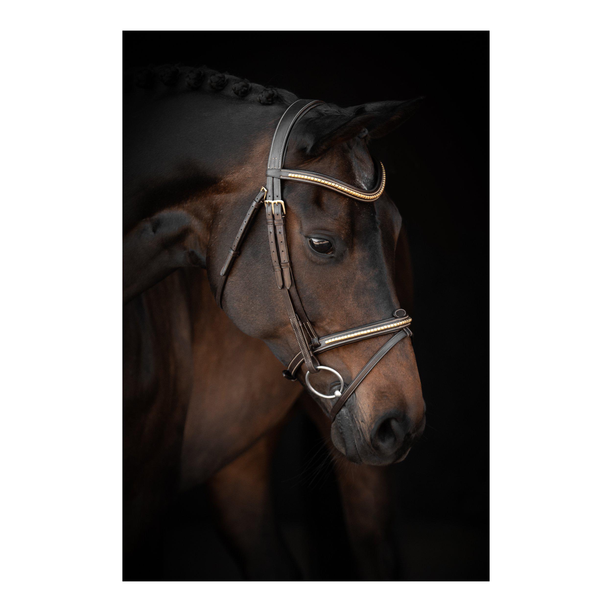 Lippo Supreme Nexon Bridle - Black/Brass - Clincher