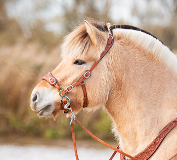 Hackamore huvudlag Anatomical, Edix© Rose, cognac