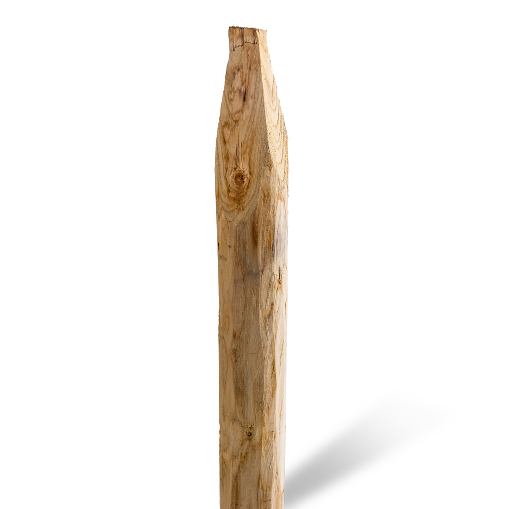 Kastanjestolpar längd 100 cm&nbsp; Ø 06/08 skalade och spetsade (A+)