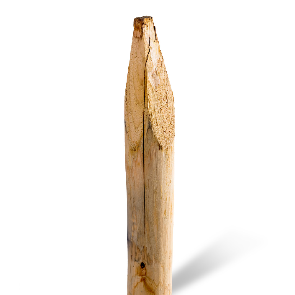 Kastanjestolpar längd 100 cm&nbsp; Ø 08/10 skalade och spetsade (A+)