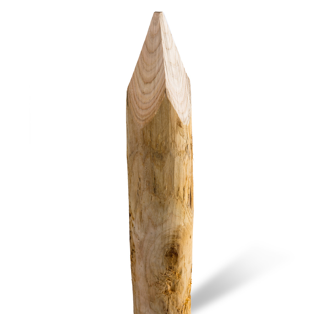 Kastanjestolpar längd 300 cm&nbsp; Ø 10/12 skalade och spetsade (A+) - 2