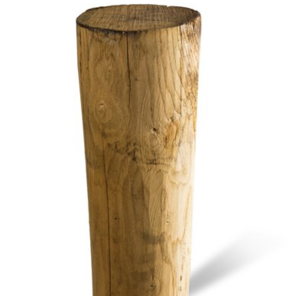 Kastanjestolpar längd 600 cm&nbsp; Ø 18/20 skalade Utan spets (A+)
