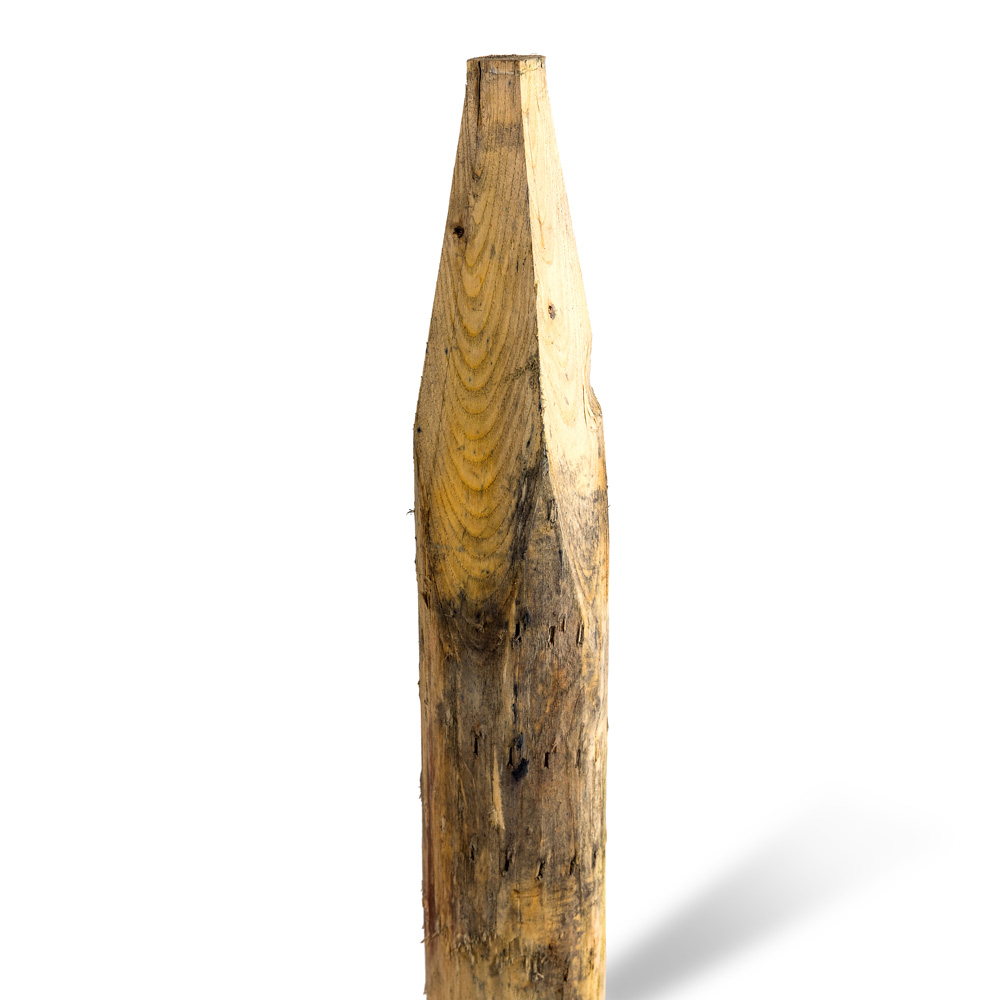 Kastanjestolpar längd 250 cm&nbsp; Ø 10/12 GROV skalade och spetsade