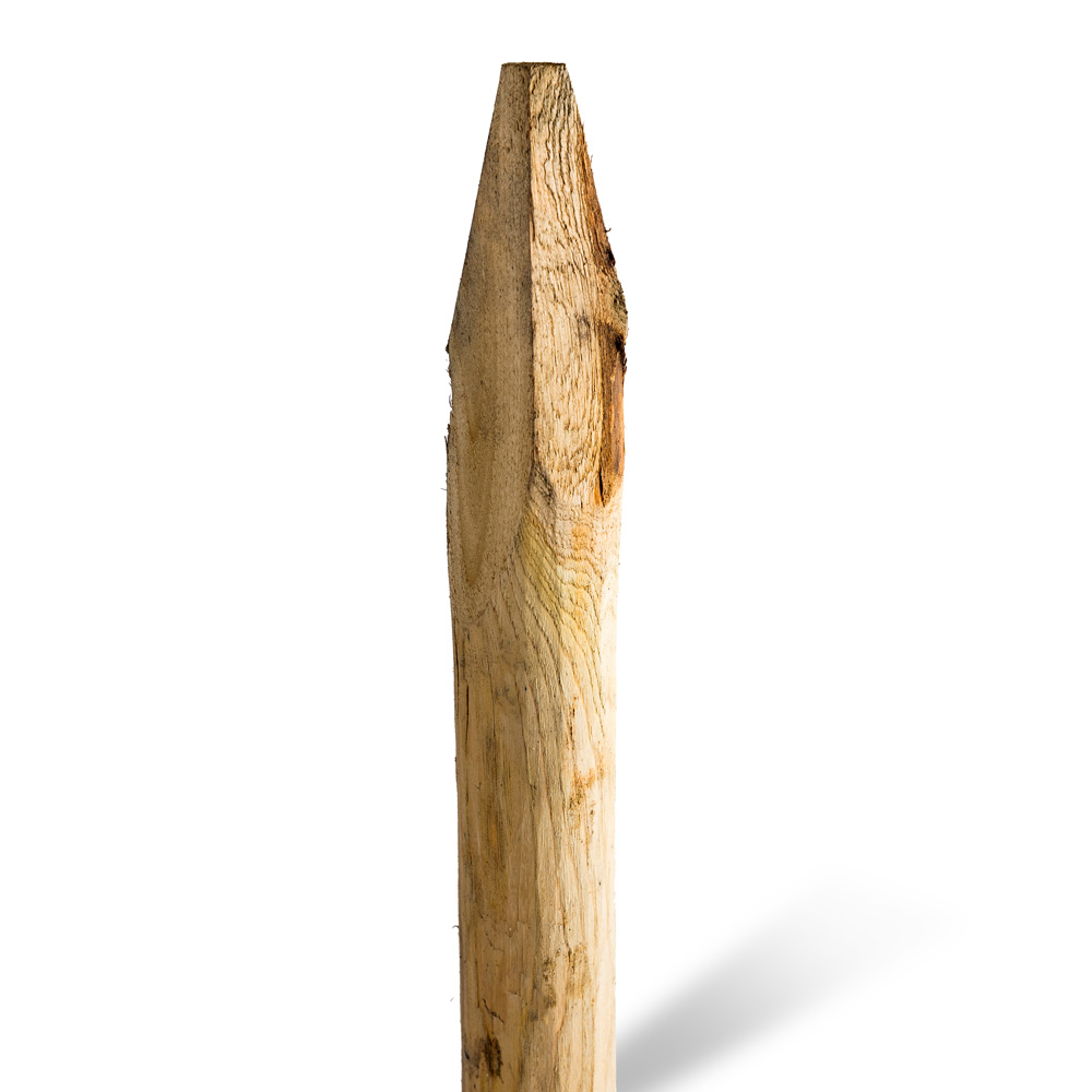Kastanjestolpar längd 300 cm&nbsp; Ø 04/06 skalade och spetsade