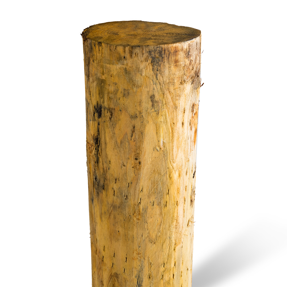 Kastanjestolpar längd 600 cm&nbsp; Ø 16/18 skalade Utan spets