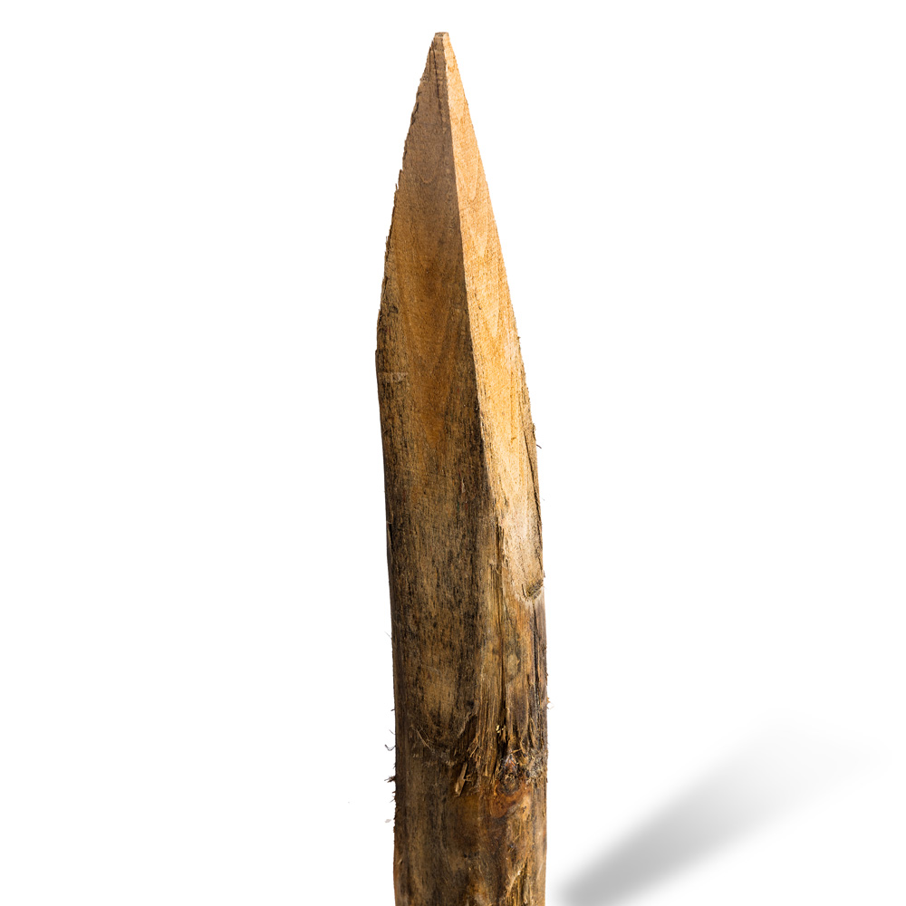 Robiniastolpar skalade längd 150 cm  Ø 10/12 spetsade
