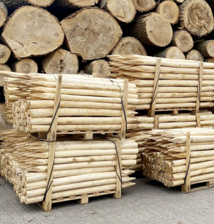 Robiniastolpar skalade längd 150 cm  Ø 10/12 spetsade