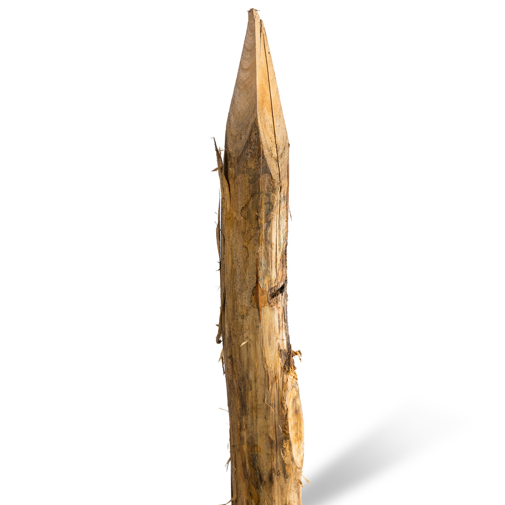 Robiniastolpar skalade längd 160 cm  Ø 08/10 spetsade