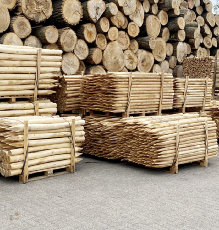 Robiniastolpar skalade längd 250 cm  Ø 08/10 spetsade