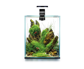 Aquael - Shrimp Set Day&Night 30L Svart