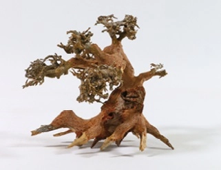 Aquadeco - Dekor Aqua Bonsai träd 15-20cm