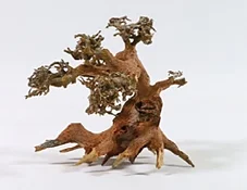 Aquadeco - Dekor Aqua Bonsai träd 15-20cm