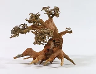 Aquadeco - Dekor Aqua Bonsai träd 15-20cm